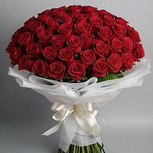 Букет 101 Красная роза Блэк Мэджик в Заплавской