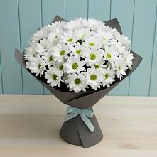Букет цветов из:  Хризантемы #REPLACE_PRED# Заплавской