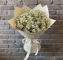 Букет цветов из:  Ромашки #REPLACE_PRED# Заплавской