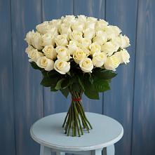 Букет 51 Белая роза Эдлесс Лав #REPLACE_PRED# Заплавской