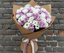 Букет цветов из:  Хризантемы #REPLACE_PRED# Заплавской