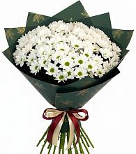 Букет цветов из:  Хризантемы #REPLACE_PRED# Заплавской