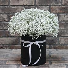 Цветочная композиция из Гипсофила в шляпной коробке в Заплавской