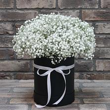 Цветочная композиция из Гипсофила в шляпной коробке в Заплавской