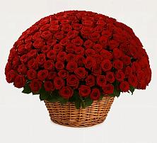 Премиум букет из: Розы в Заплавской