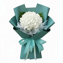 Букет цветов из:  Гортензия в Заплавской